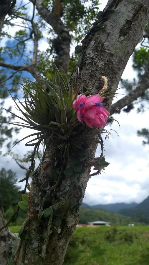 Hostel E Pousada Vale Mirante Da Rocha Timbe do Sul Εξωτερικό φωτογραφία